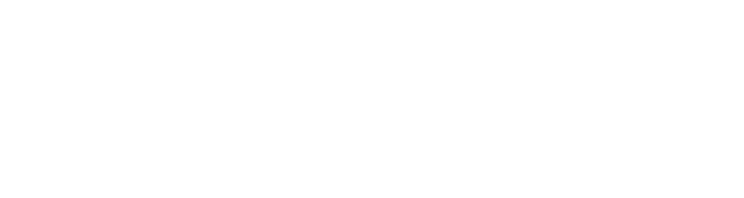 DigiFact Logo